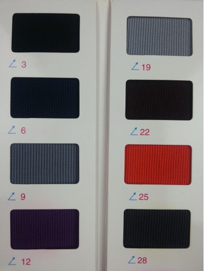 GZ-CIWI  2*2羅紋  NT-D304  380G 細節-2